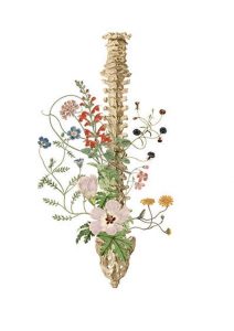 spine and flowers
